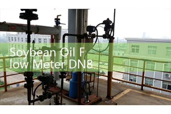 Soybean Oil Flow Meter DN80: Maintaining Flow Balance in Hydrogenation Lines